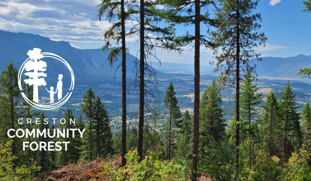 Nine Kootenay-based projects get forest management funding