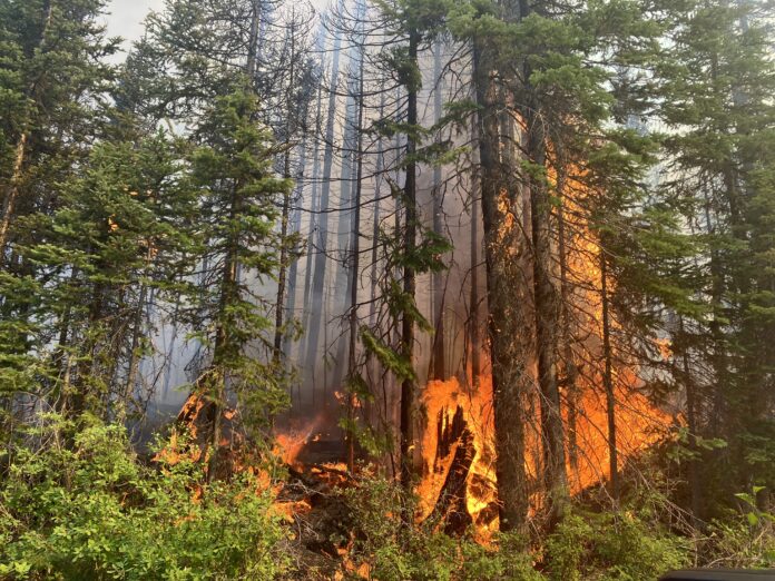 Wildfire Prepardeness Day event set for Courtenay Saturday