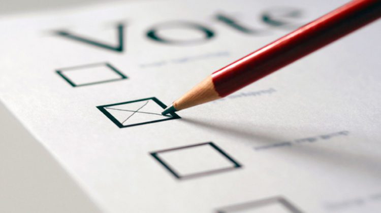 Elections Canada says pens or pencils welcome when marking ballots