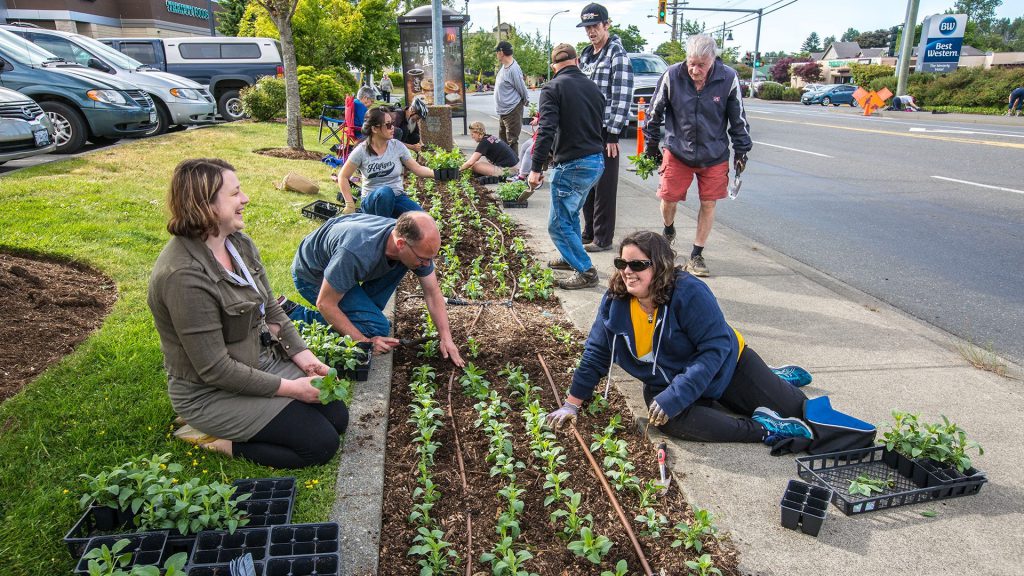 City asking for volunteers for Mile of Flowers Plant-In