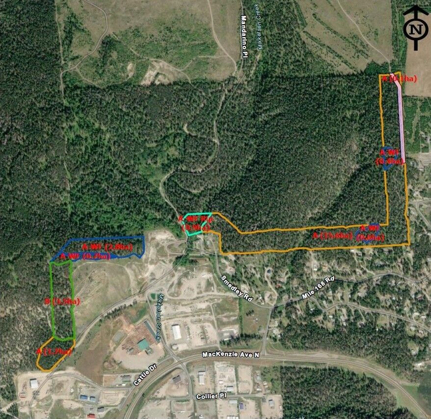 Wildfire Risk Reduction Project Planned North of Williams Lake