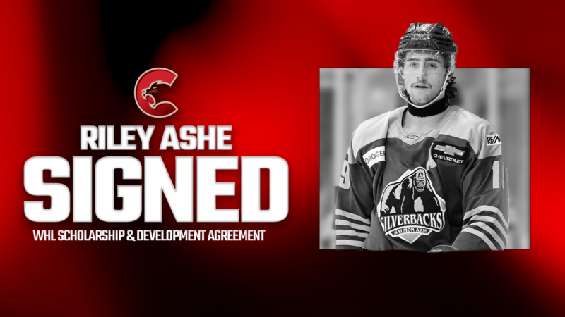 PG Cougars ink 2006-born forward to WHL Scholarship and Development Agreement