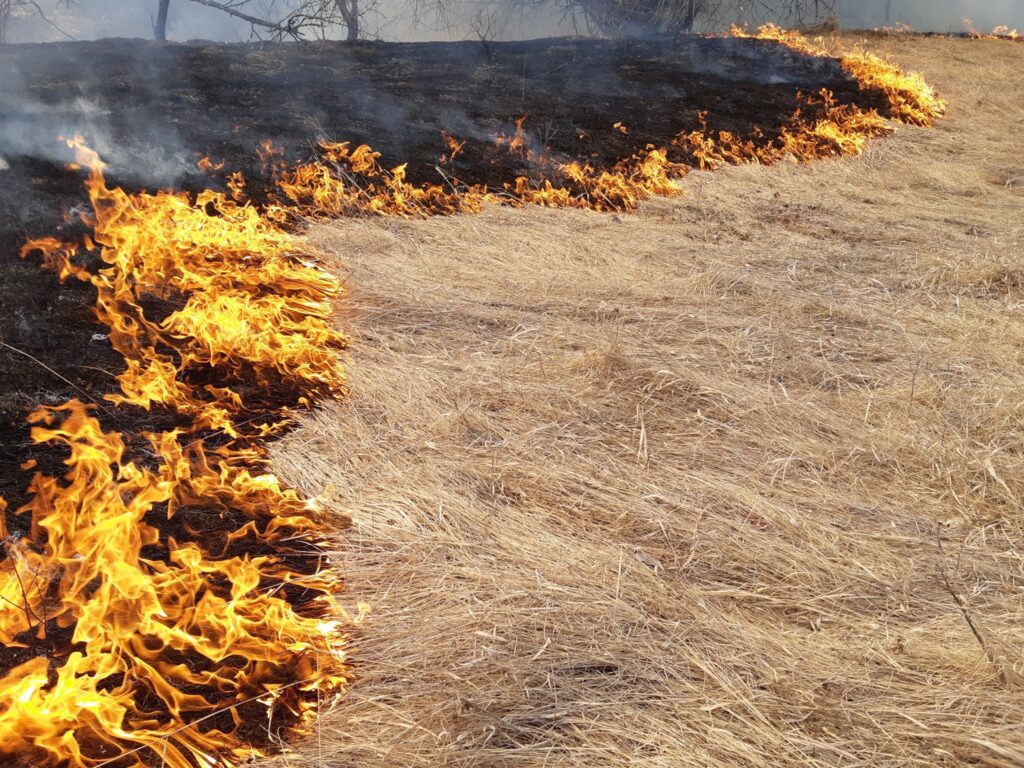 Prescribed burn near Grassy Mountain scheduled for tomorrow