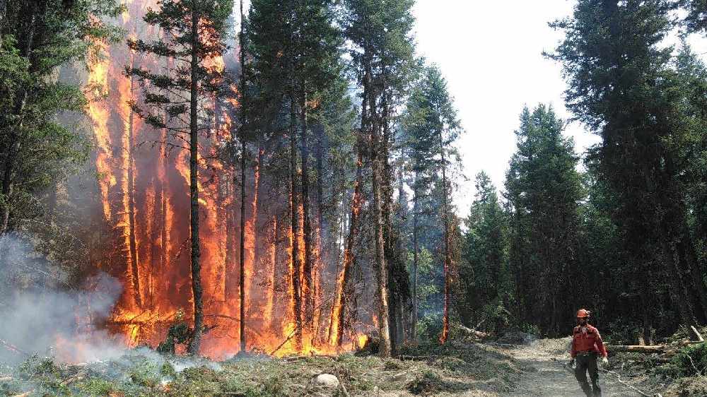 Category 3 open fire ban coming to Southeast Fire Centre