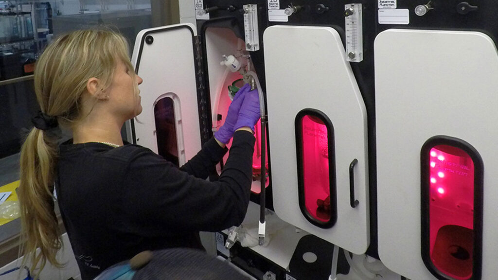 Seaweed project open house set for Campbell River this June