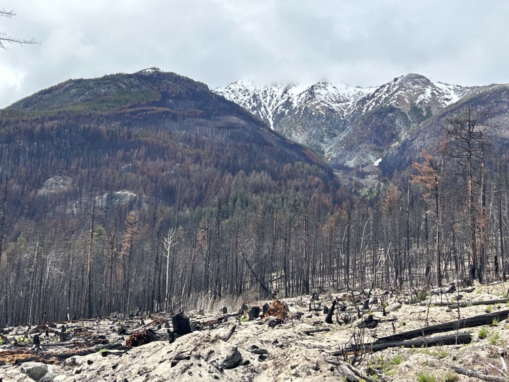 Forest Practice Board says Planned Ignition 2023 Wildfire in Gun Lake was Found to be ‘Reasonable’