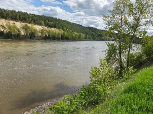 Snow melt underway in BC as snowpack numbers decline