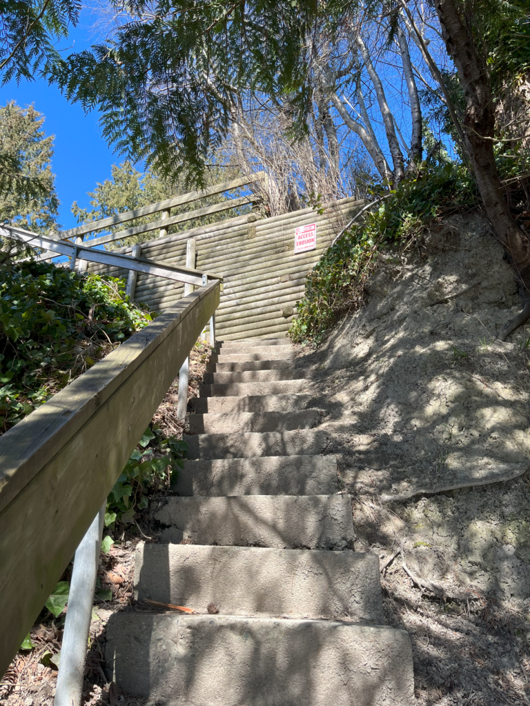 Construction finishes at Pebbles Beach in time for summer 