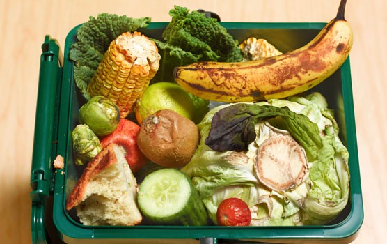 Invermere preparing for new curbside organics collection program