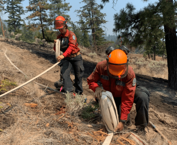 Hixon wildfire not expected to grow much more today