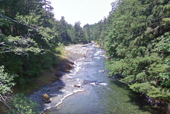 Returned land a significant moment, Cowichan Tribes chief