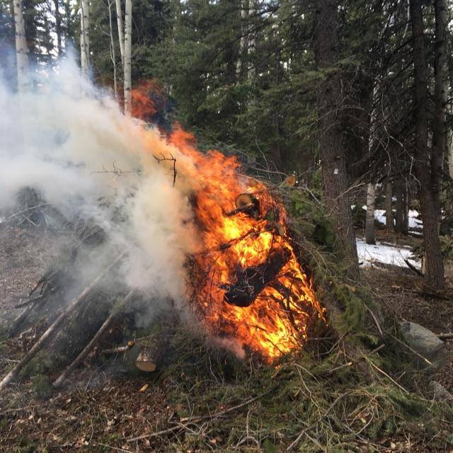No Injuries in Small Slash Pile Reignition