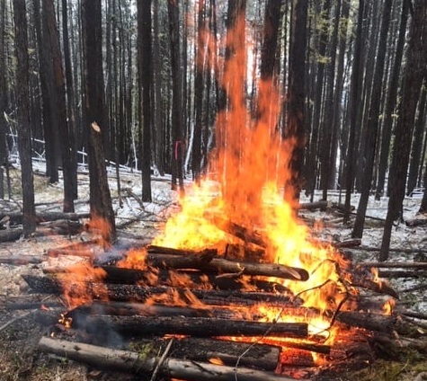 Kimberley secures funds for large wildfire mitigation project