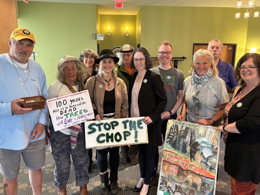 Nanaimo council asked to reconsider removal of trees in Loudon Park