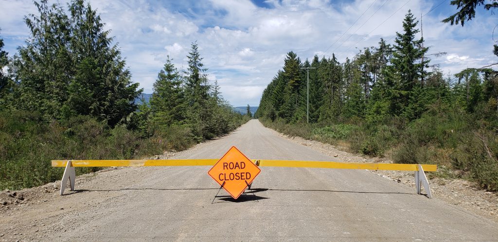 UPDATE: Fallen tree removed from Courtenay Riverway bridge, bridge still closed