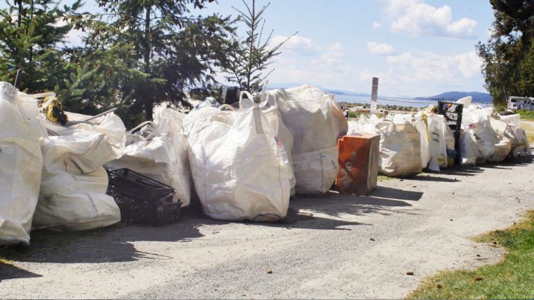 Large waste can be dropped off in upcoming Sayward clean-up event