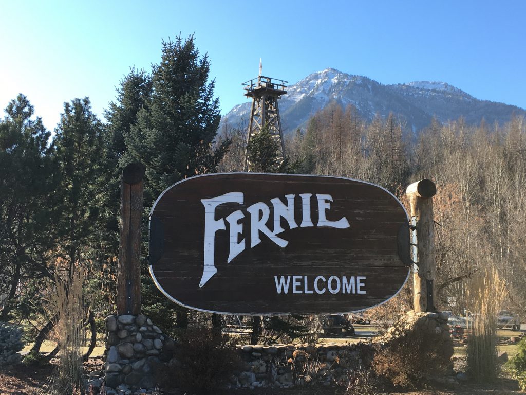 Fernie annual report showcases 2024 work