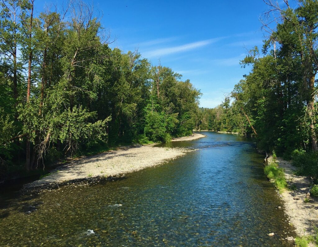 Planning underway to maintain healthy environment for fish in Cowichan River