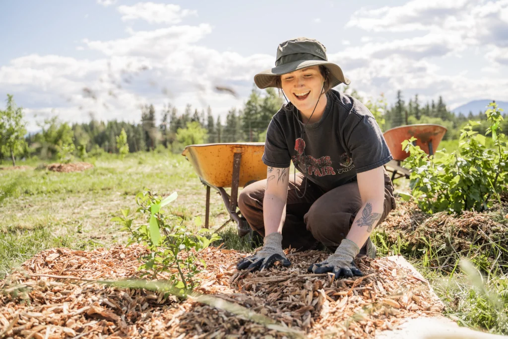 From forest waste to farm resource