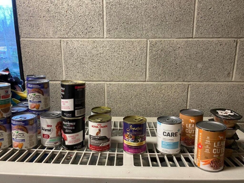 Cariboo Pet Owners Not Immune To Fewer Donations Made To BC SPCA Pet Food Banks