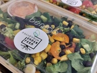 College and Community Connections Society partner to feed unhoused residents