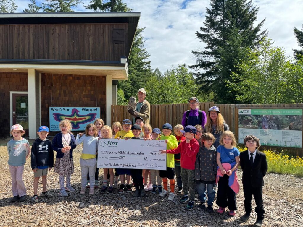 Bake sale raises over $500 for MARS Wildife Rescue Centre