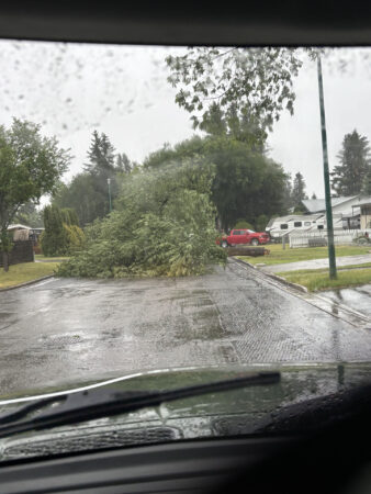 Mid-week Thunderstorm in PG leaves a little bit of a mess