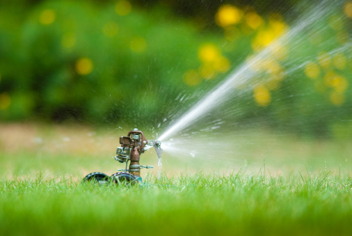 RDN watering restrictions will help conserve water for potentially dry summer