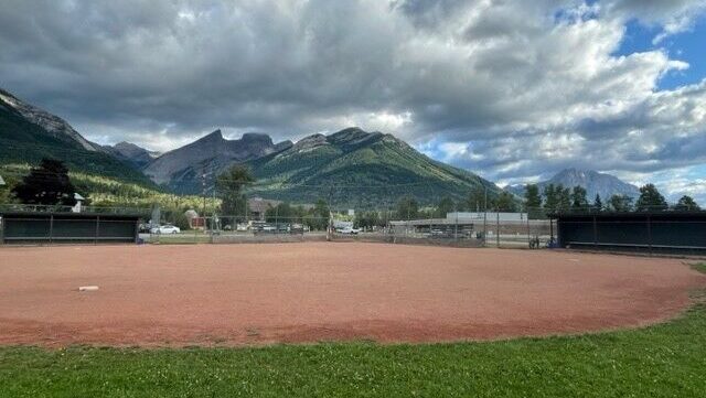 Ball diamond upgrades needed as user base grows