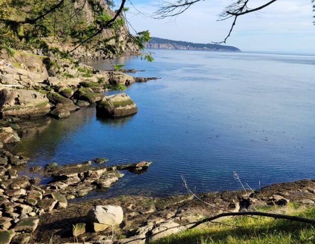 Shoreline protection workshop returns to Powell River