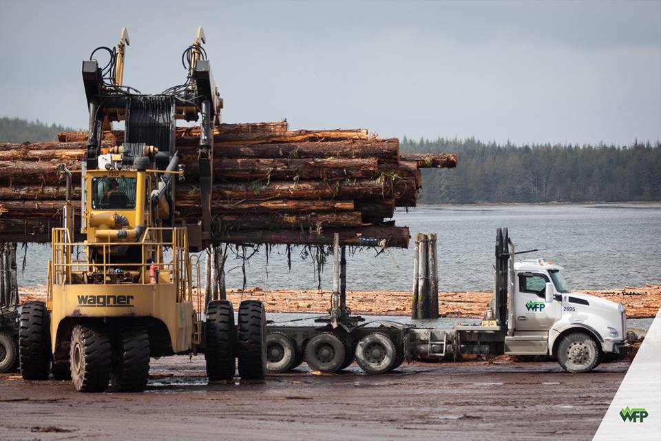 Fifty-five workers to be laid off at Chemainus Sawmill 