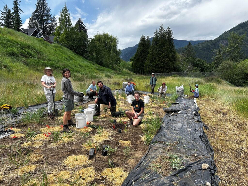 Planting for the future