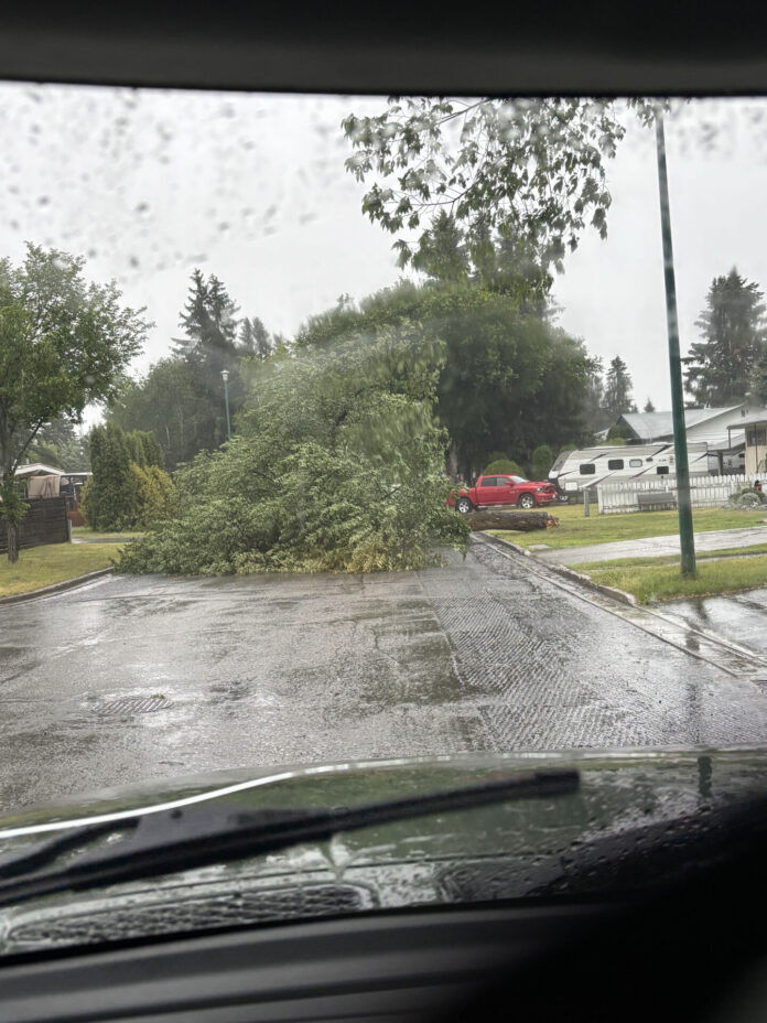 Mid-week Thunderstorm in PG-Vanderhoof area leaves a little bit of a mess