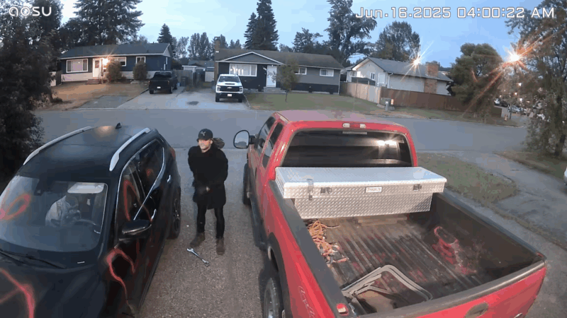 RCMP looking to identify suspects in repeated vandalism investigation