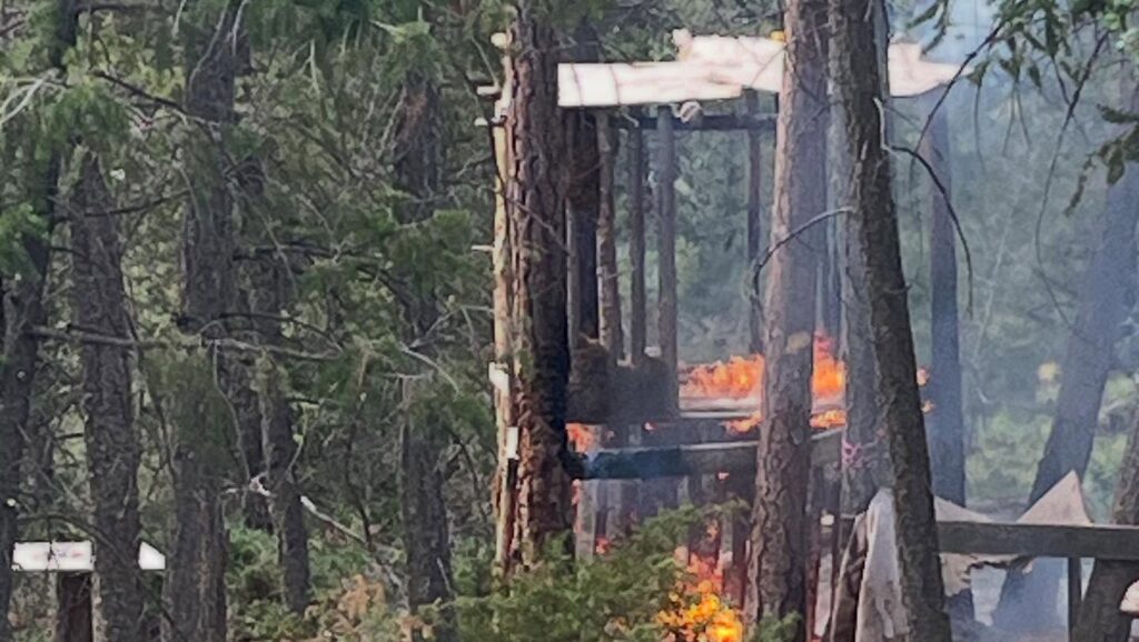 Tree fort fire snuffed out
