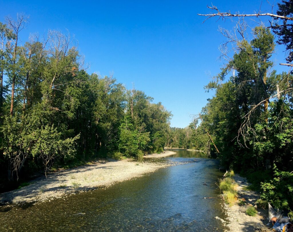 Low water level creates challenges but Cowichan River in better shape than 2023