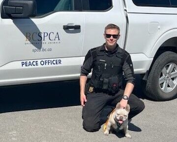 Dog has lucky escape from RV fire in Cranbrook