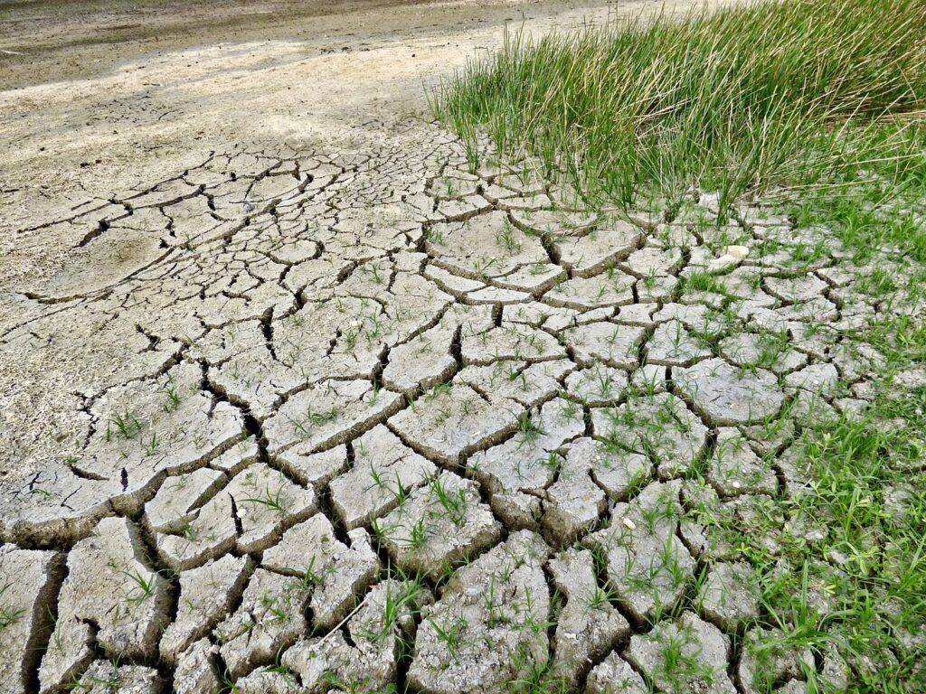 Entire East Kootenay under drought level 4