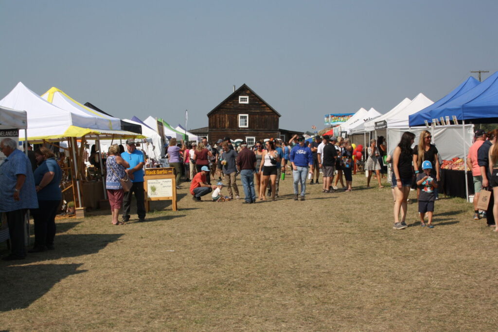 South Cariboo Garlic Festival Still Yielding Bigger Harvests For This Year
