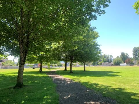Public engagement being sought after to help redesign Harmston Park