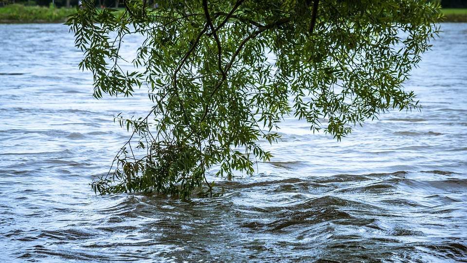 High streamflow advisory issued for parts of Columbia Valley