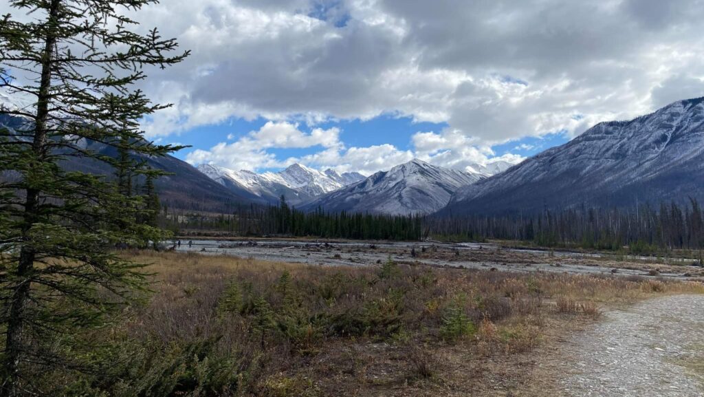Whirling disease prompts closures in Yoho and Kootenay National Parks
