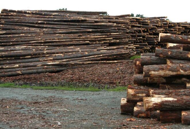 American counterparts once again raise duties on BC softwood lumber