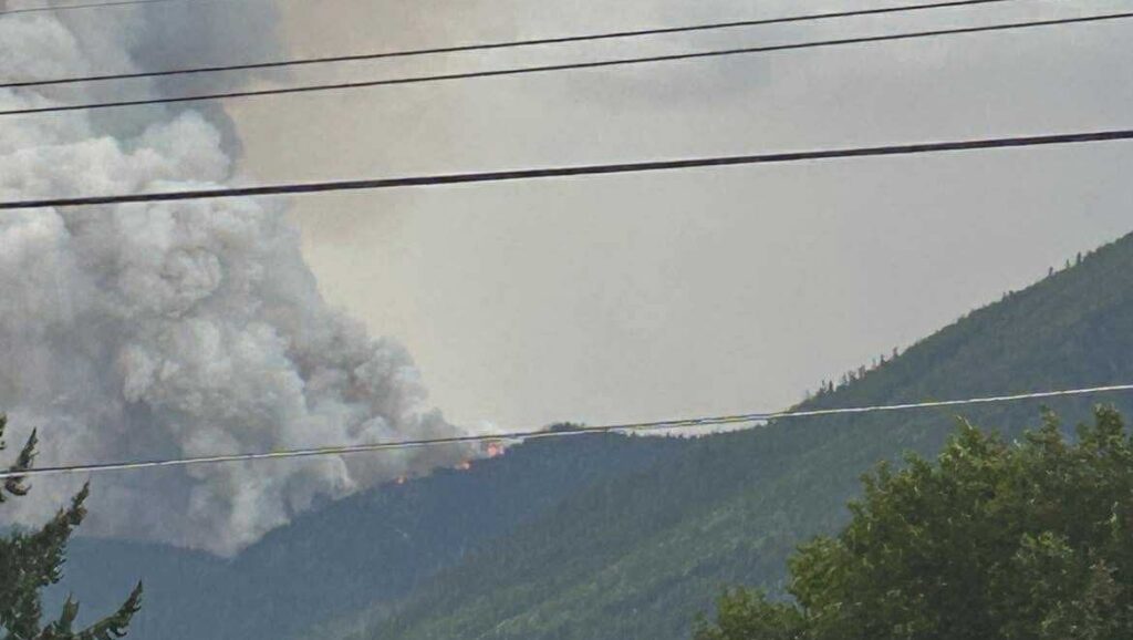 Lightning sparks over 40 wildfires within Southeast Fire Centre region