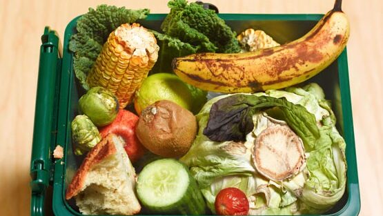 Invermere organics collection seeing success