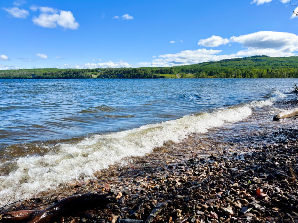 Shoreline health survey being conducted at Francois Lake