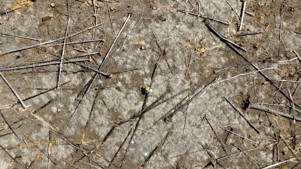 Central Chilcotin Rehabilitation Ltd Honoured To Be Part Of A New Documentary