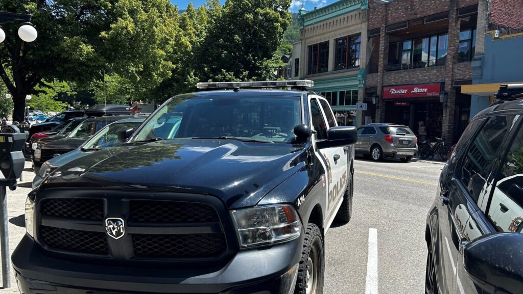 Man taken into custody after knife incident in Nelson