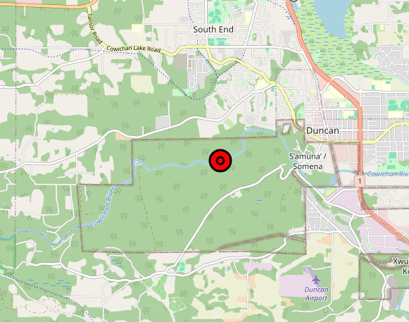 Update: Cowichan fire now held, BC Wildfire Service