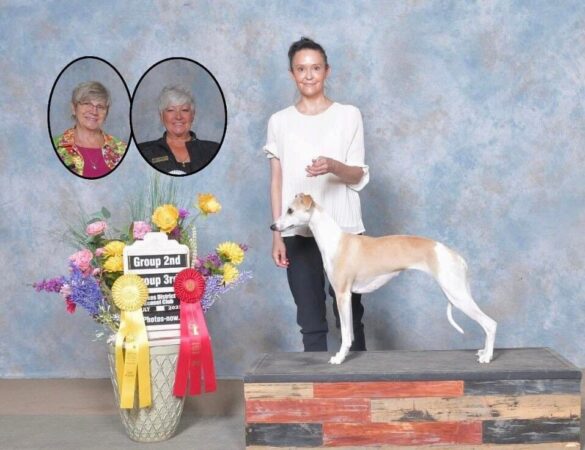 Prince George Kennel Club hosting four day Dog Show